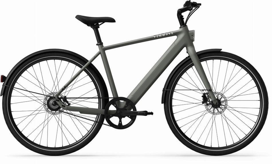 Tenways CGO600 Pro 360 Wh E-Bike Diamant 28" willow mist