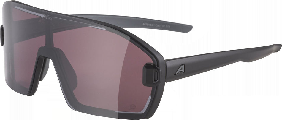 Alpina Bonfire Mag Sportbrille black matt/quattroflex+ black one size