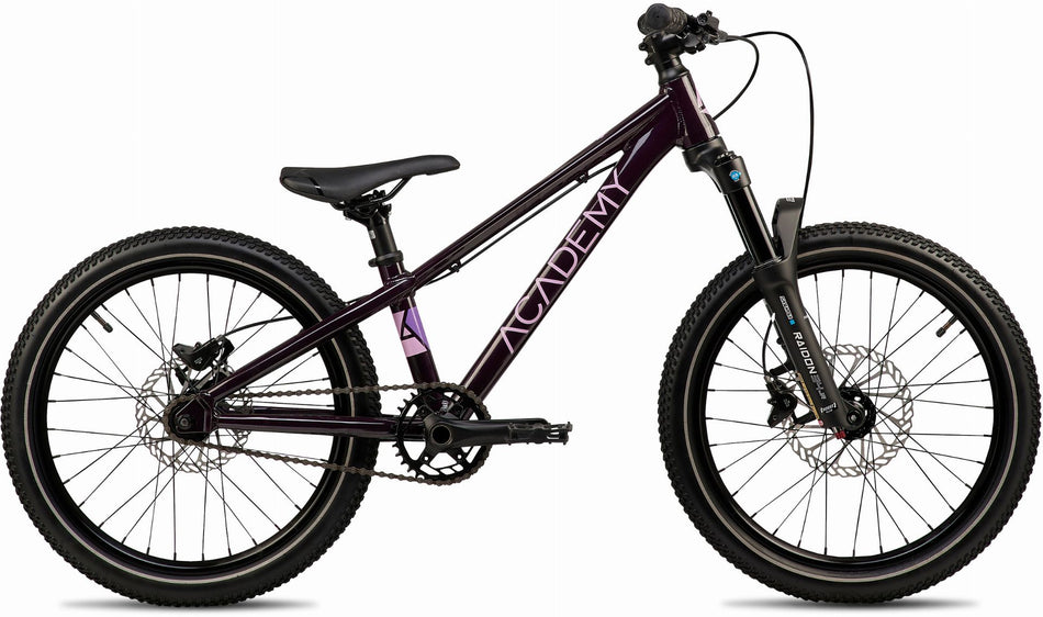 Academy Pump 4 Kinderrad Diamant 20" plum