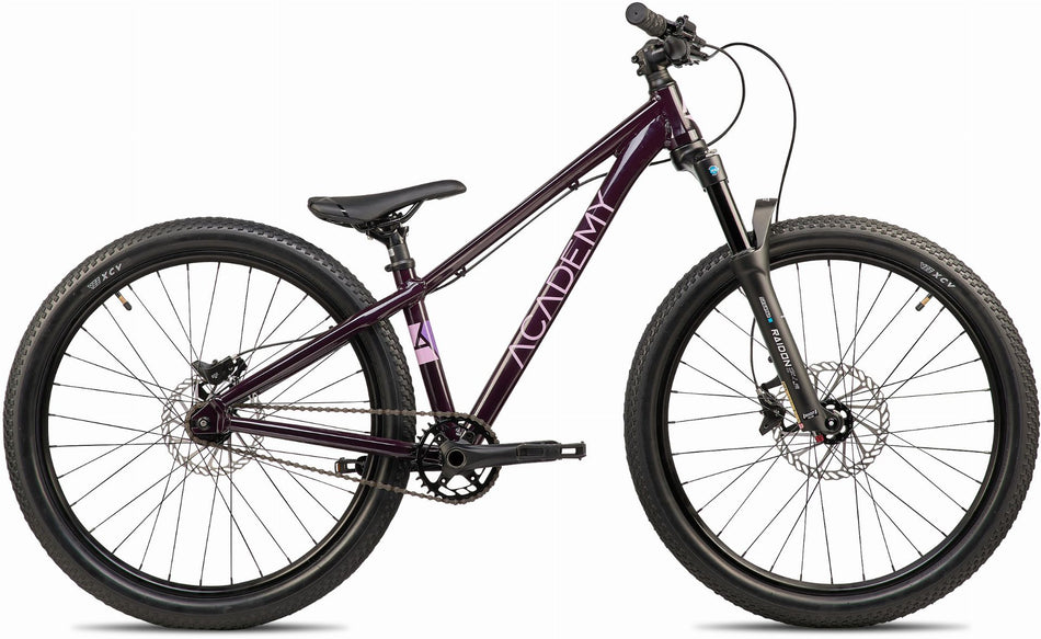 Academy Pump 5 Kinderrad Diamant 24" plum