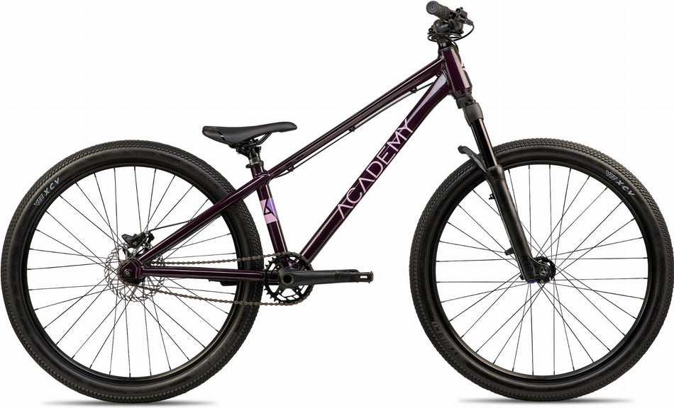 Academy Pump 6 Jugendrad Diamant 26" plum