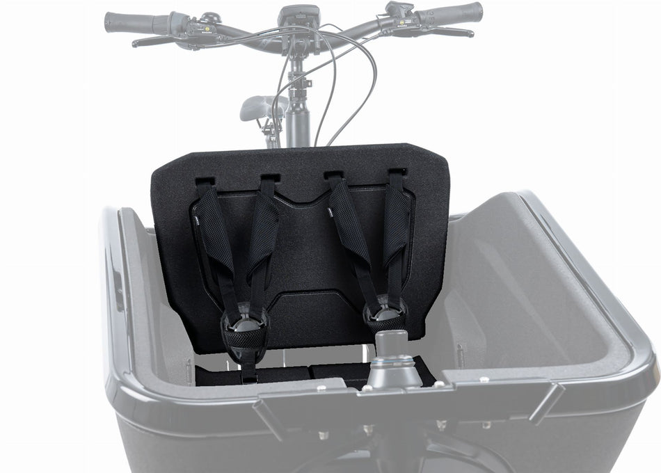 Cube Sitzbank Cargo 2.0 black