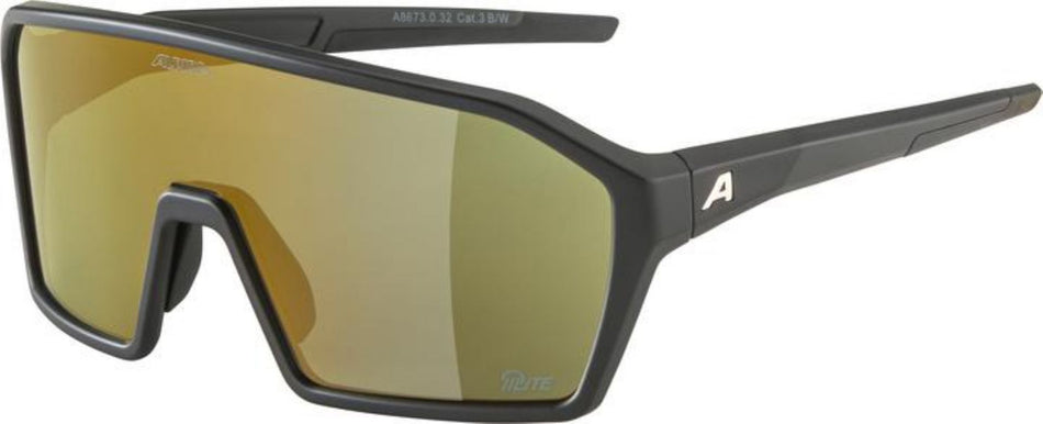 Alpina Ram Q-Lite Sportbrille black matt one size