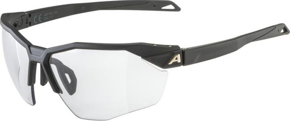 Alpina Twist Six HR V Sportbrille black matt/varioflex+ black one size