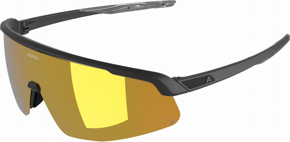 Alpina Turbo Pro Q Sportbrille black/gold mirror one size