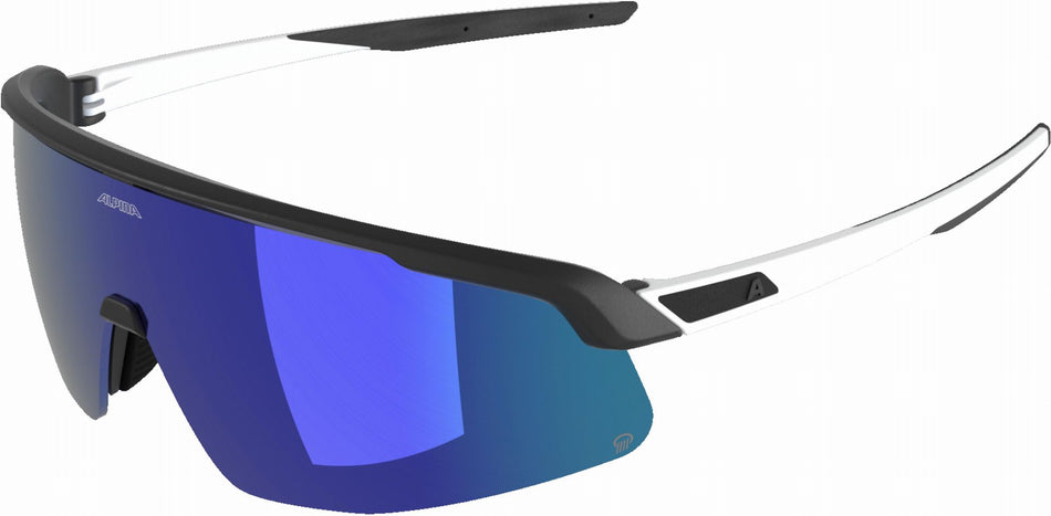 Alpina Turbo Pro Q Sportbrille black-white mat/blue one size