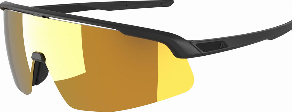 Alpina Turbo Pro S Q Sportbrille black/gold mirror one size