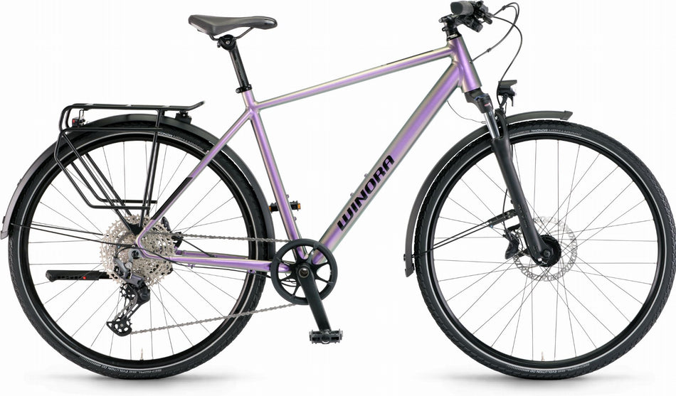 Winora Domingo 12 Pro Trekkingrad Diamant 28" chameleon